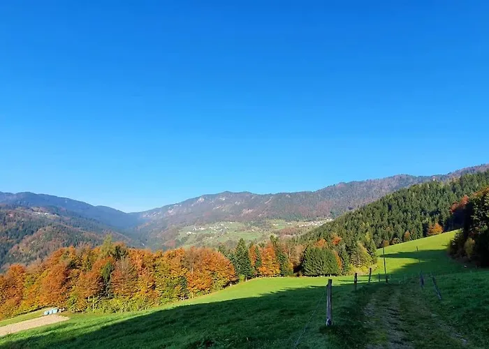 House Pucnk-Beautiful Countryside