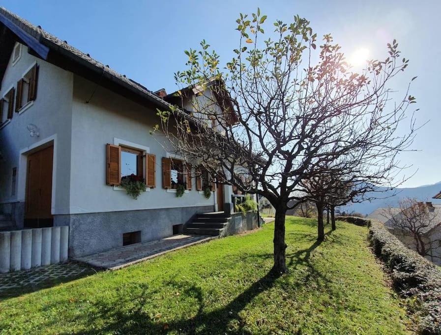 House Pucnk-beautiful Countryside
