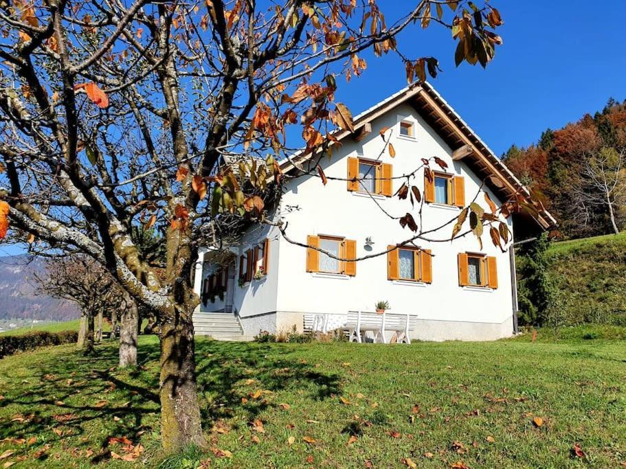 House Pucnk-beautiful Countryside