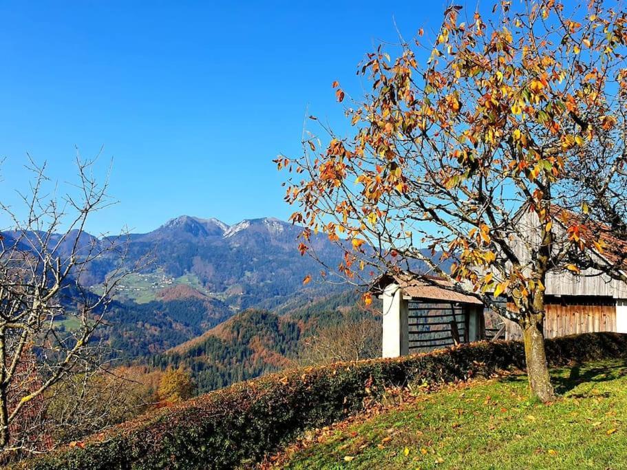 Vakantiehuis House Pucnk-beautiful Countryside